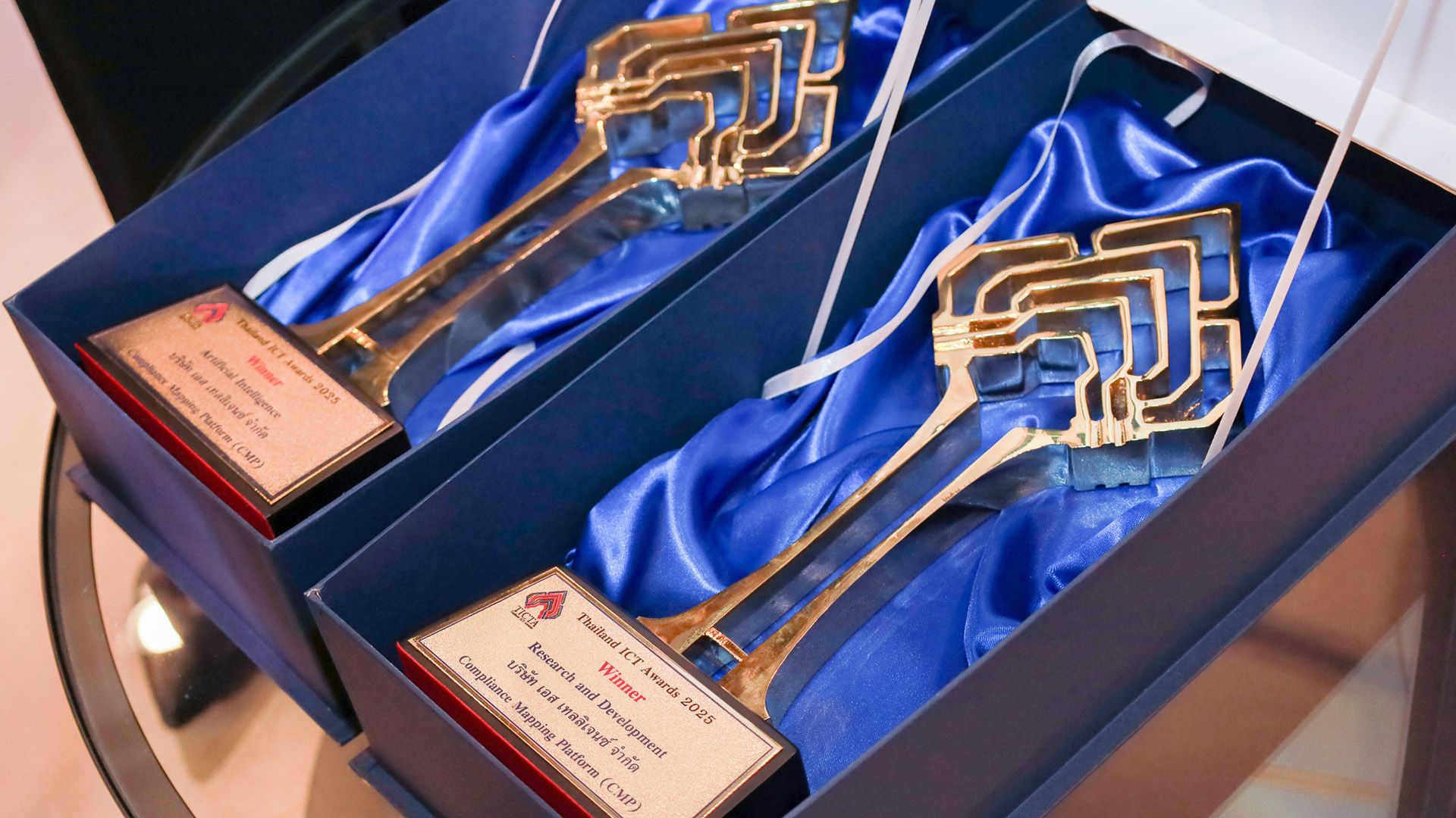 TICTA-Award-2025_8.jpg